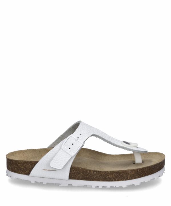 Ivyandhawthorn.shop086414c863 1