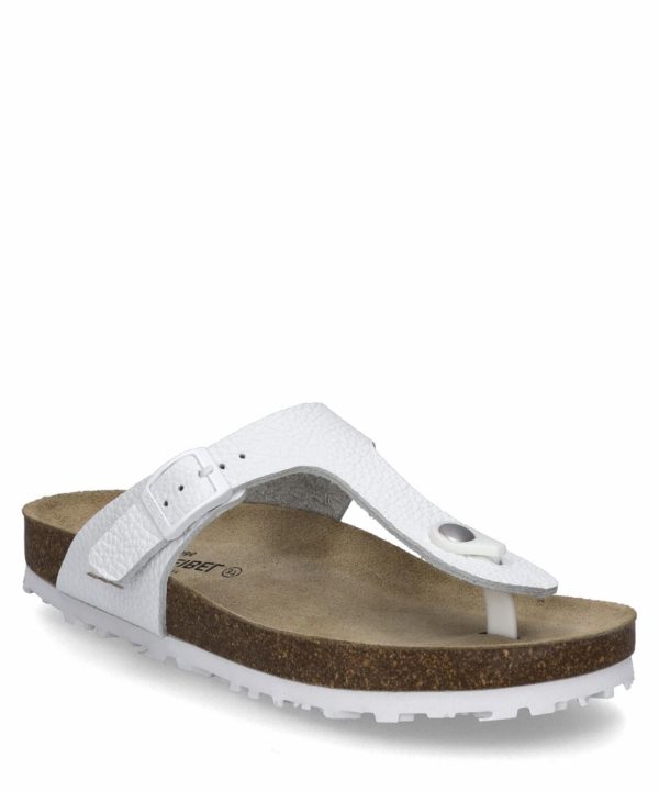 Ivyandhawthorn.shop086414c863 2