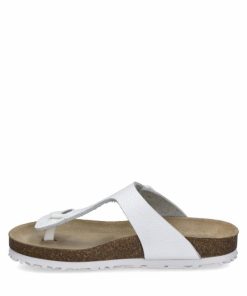 Ivyandhawthorn.shop086414c863 3