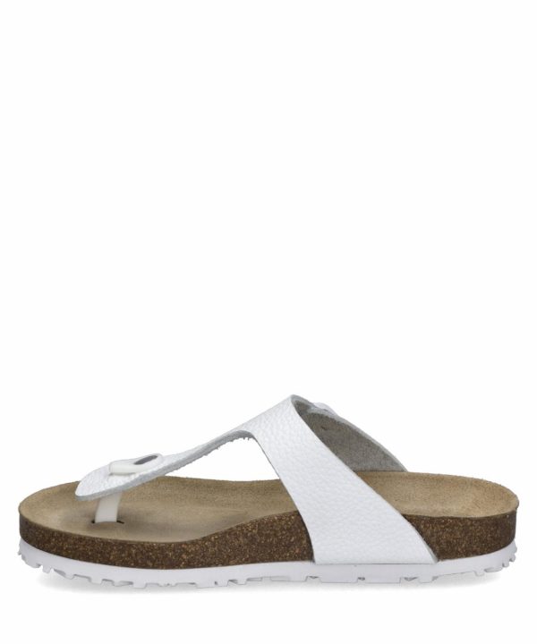 Ivyandhawthorn.shop086414c863 3