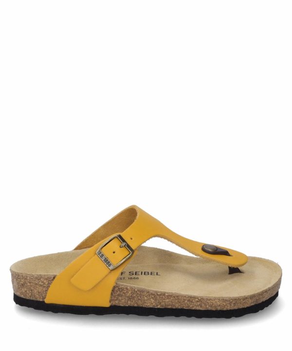 Ivyandhawthorn.shop1df5b3d91a 1