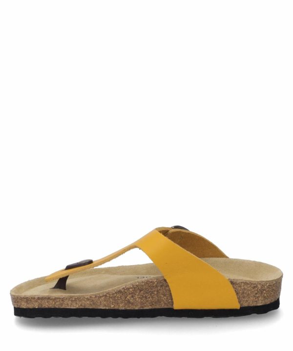 Ivyandhawthorn.shop1df5b3d91a 3