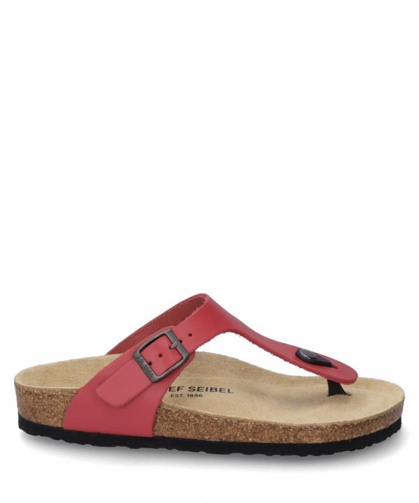 Ivyandhawthorn.shop22c644a2fc 1