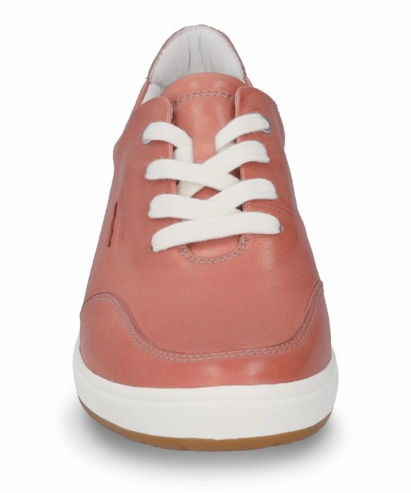 Ivyandhawthorn.shop2c8e5e2841 5