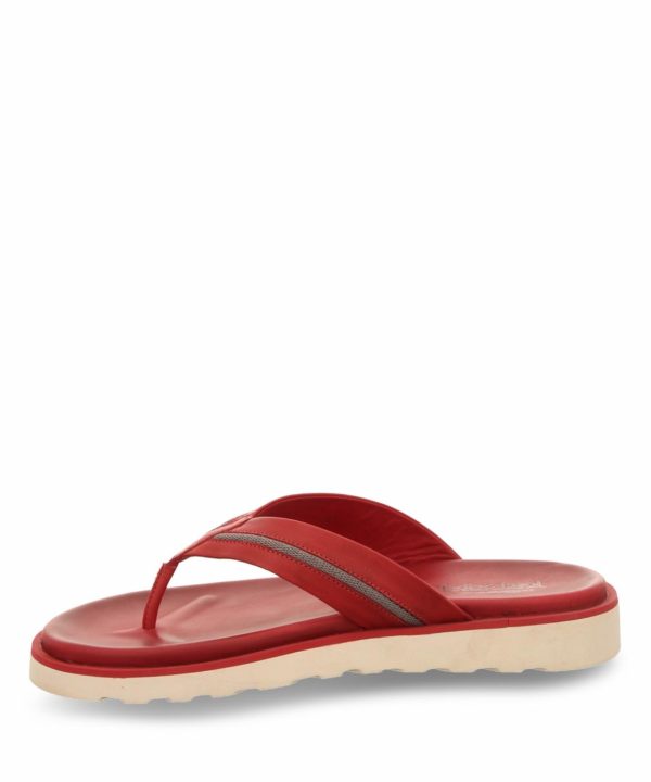 Ivyandhawthorn.shop4e709a14dd 3