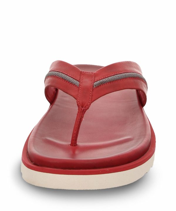 Ivyandhawthorn.shop4e709a14dd 5