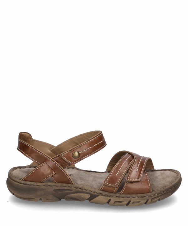 Ivyandhawthorn.shop5065c0a643 1