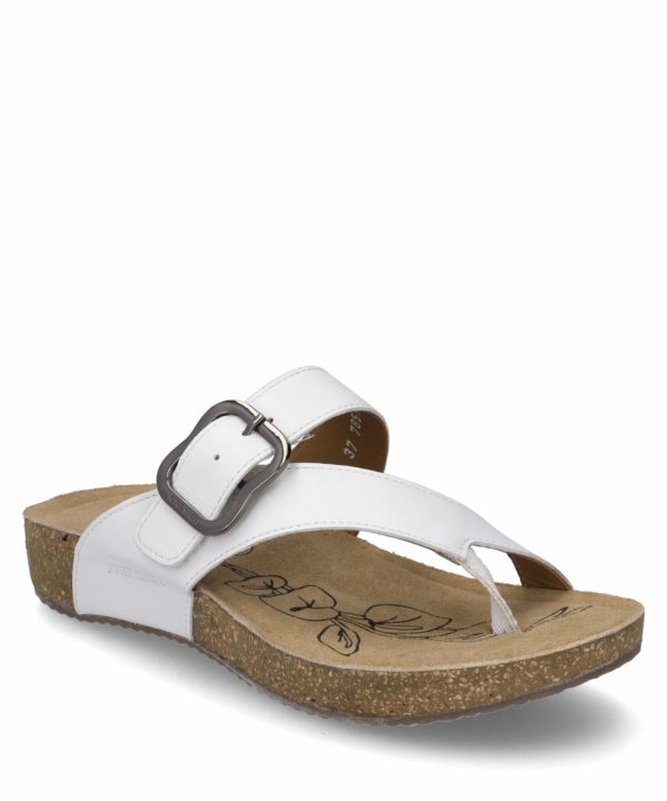 Ivyandhawthorn.shop553c58dd2b 2