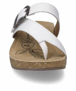 Ivyandhawthorn.shop553c58dd2b 5