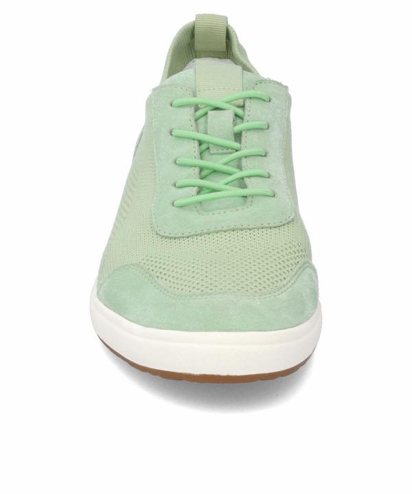 Ivyandhawthorn.shop5a47e67274 5