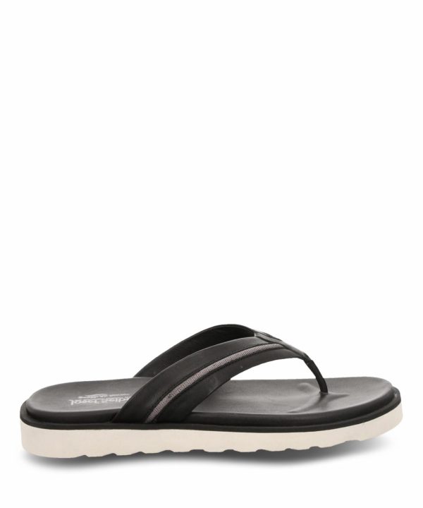 Ivyandhawthorn.shop5dcfc0eaed 1