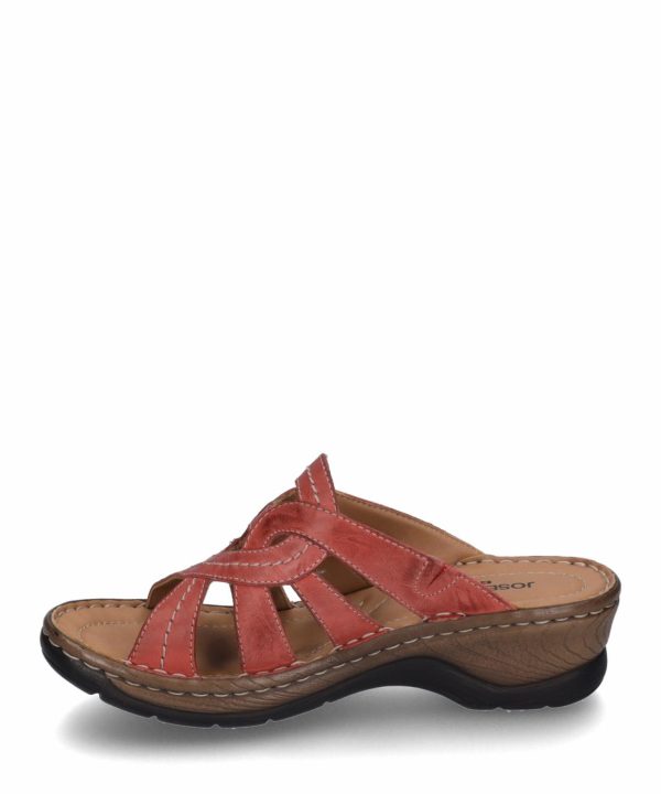 Ivyandhawthorn.shop9246793b8b 3