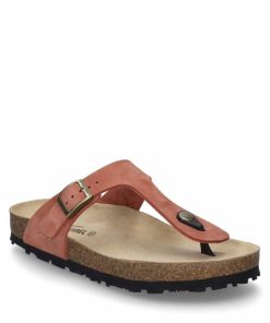 Ivyandhawthorn.shopa5147cb40e 2