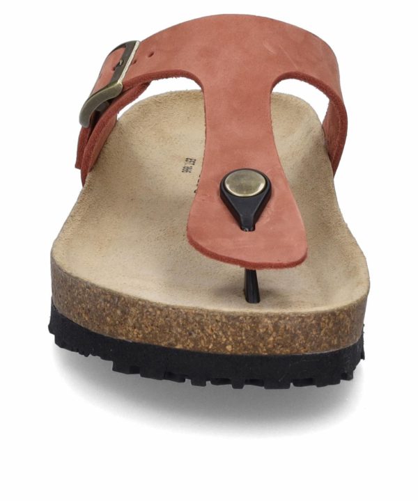 Ivyandhawthorn.shopa5147cb40e 5