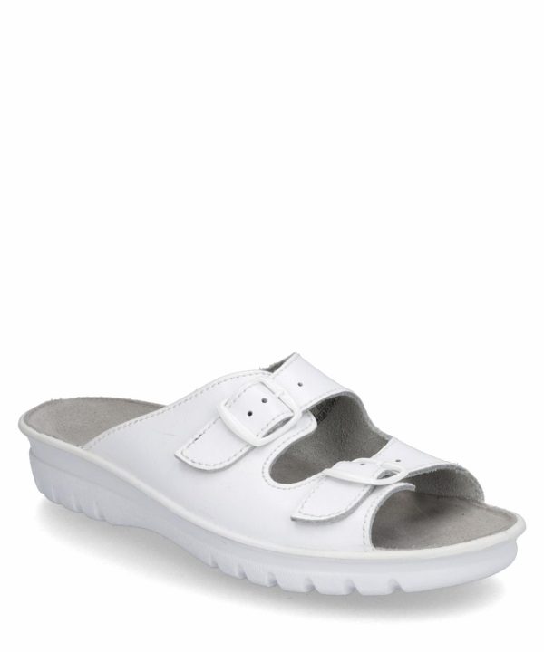 Ivyandhawthorn.shopc7f762b915 2