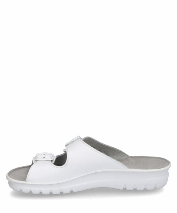 Ivyandhawthorn.shopc7f762b915 3