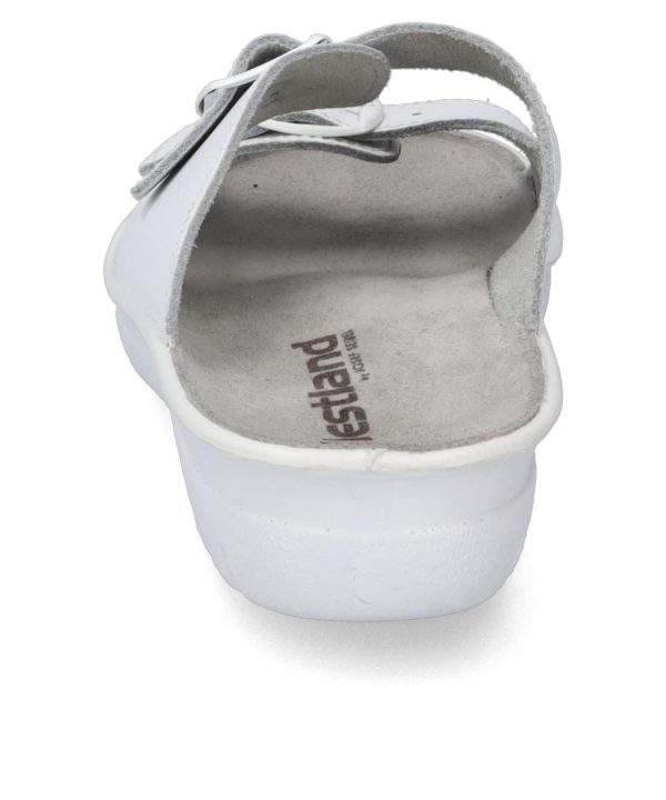 Ivyandhawthorn.shopc7f762b915 5