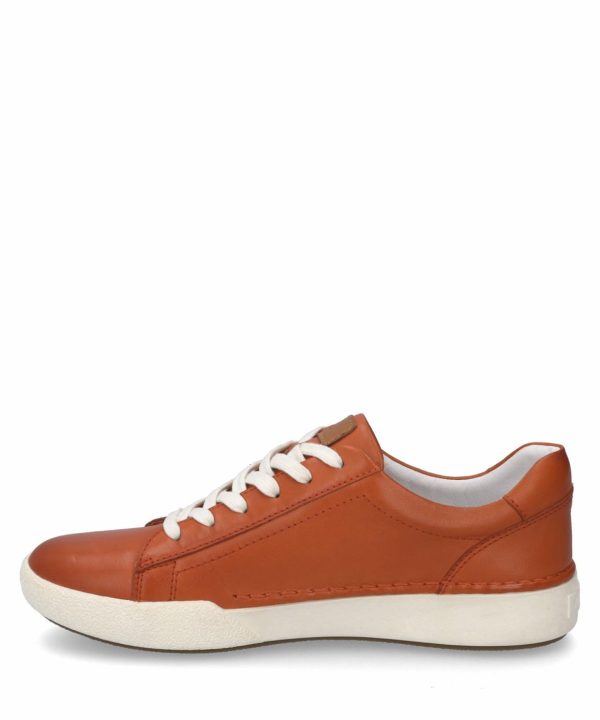 Ivyandhawthorn.shopd47a2e67fe 3