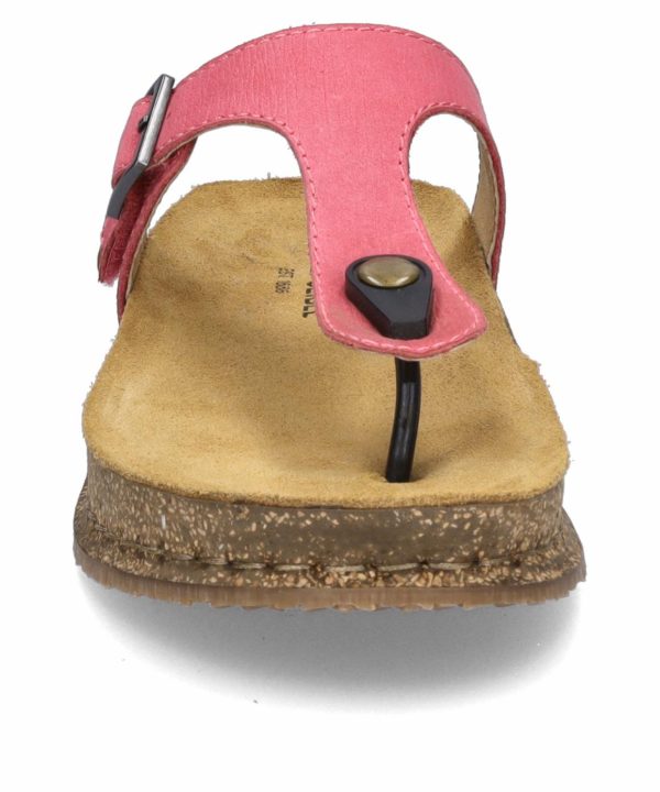 Ivyandhawthorn.shopfd3337c7e7 5